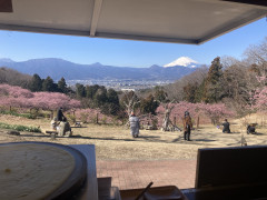 本日発電機トラブル。。