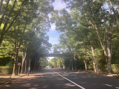 本日！松田スプラポ出店！