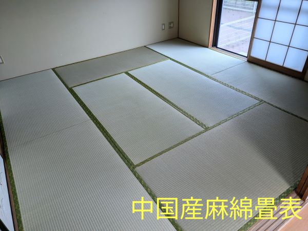 1735501786470re.jpg