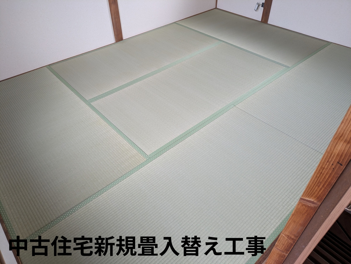 1770519806421re.jpg