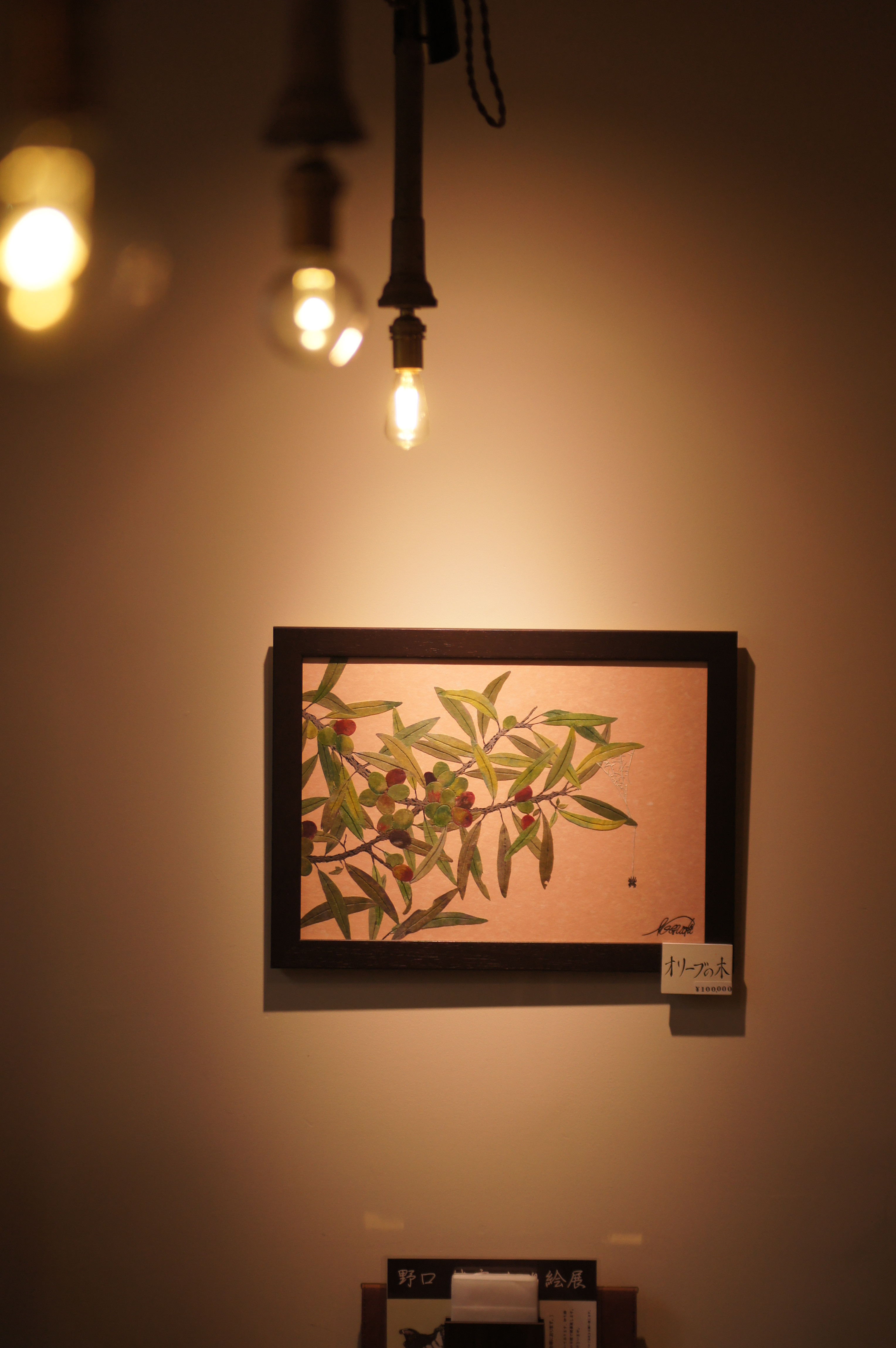 DSC01515.JPG
