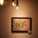 DSC01515.JPG