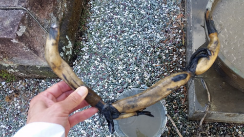 20180322_152342.jpg