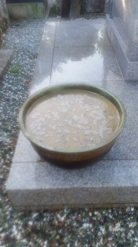 20180322_160818.jpg