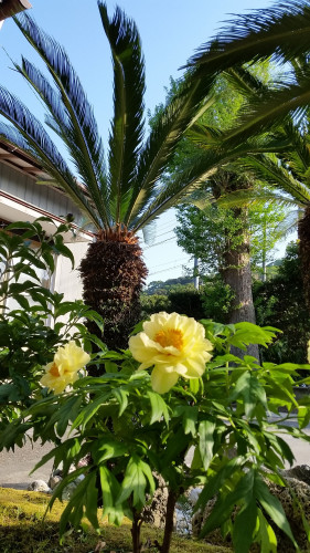 20180420_161834.jpg