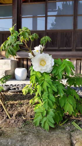 20180420_161802.jpg