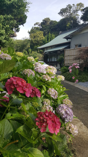 20180609_073411.jpg