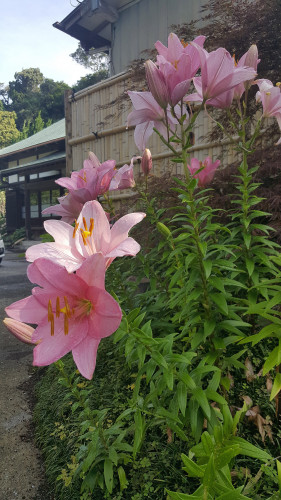20180609_073459.jpg