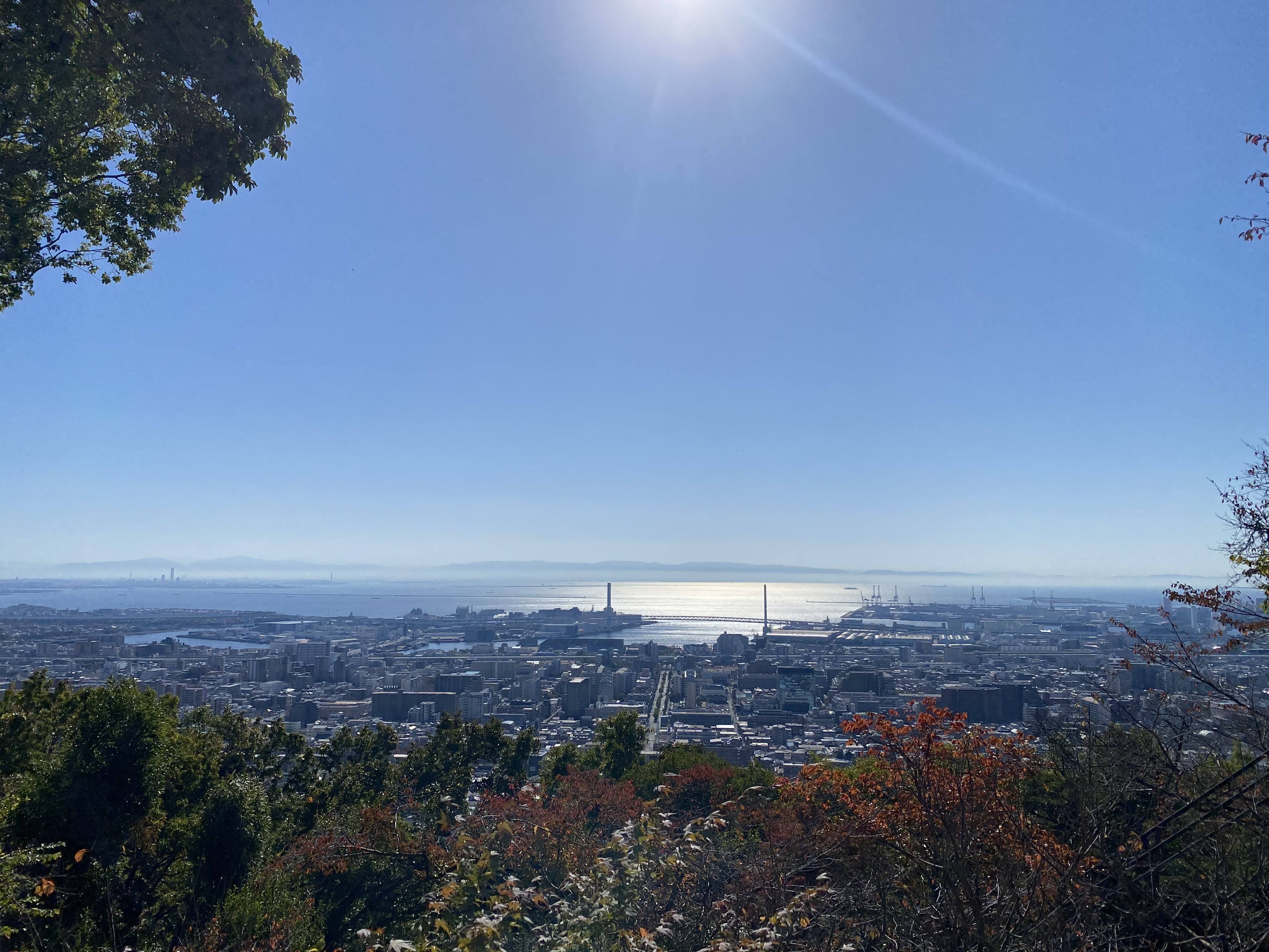 IMG_6793.jpeg
