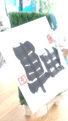 20250618_144034543.jpg