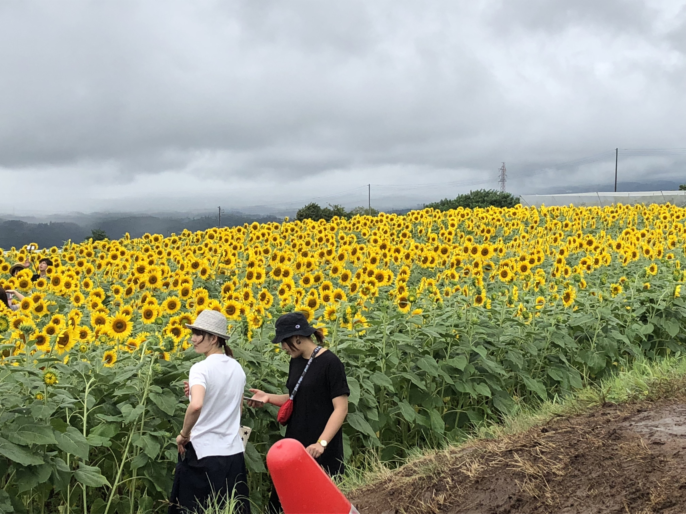 三ノ倉スキー場（喜多方市）