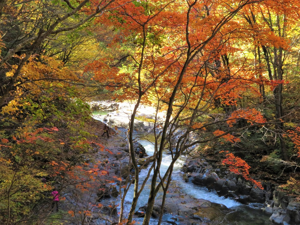 秋の中津川渓谷