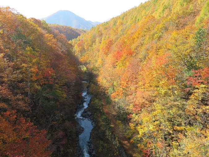 秋の中津川渓谷