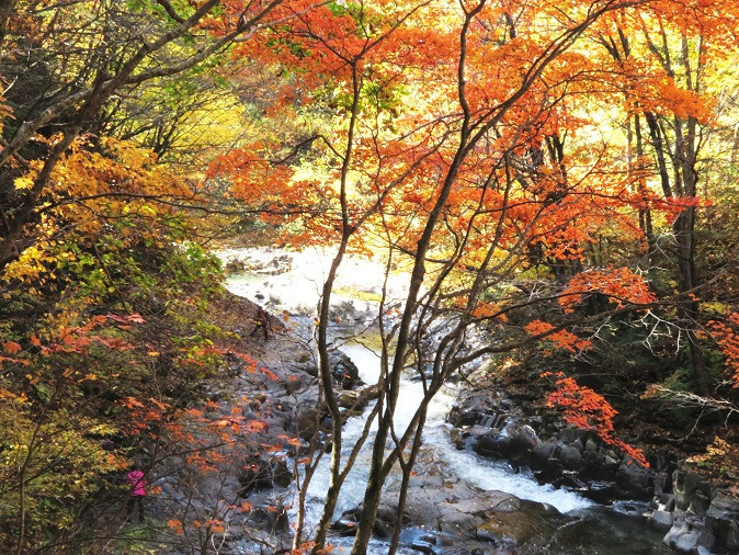 秋の中津川渓谷②