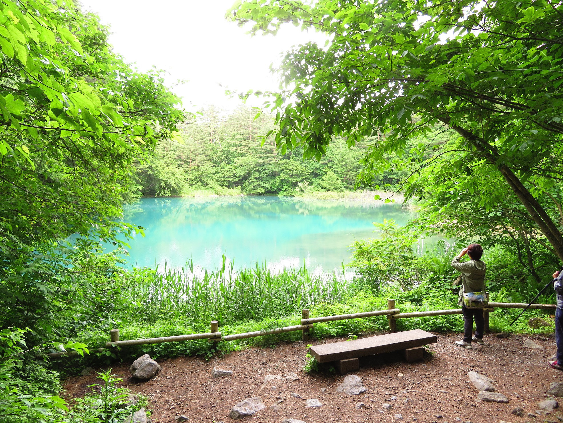 五色沼・青沼