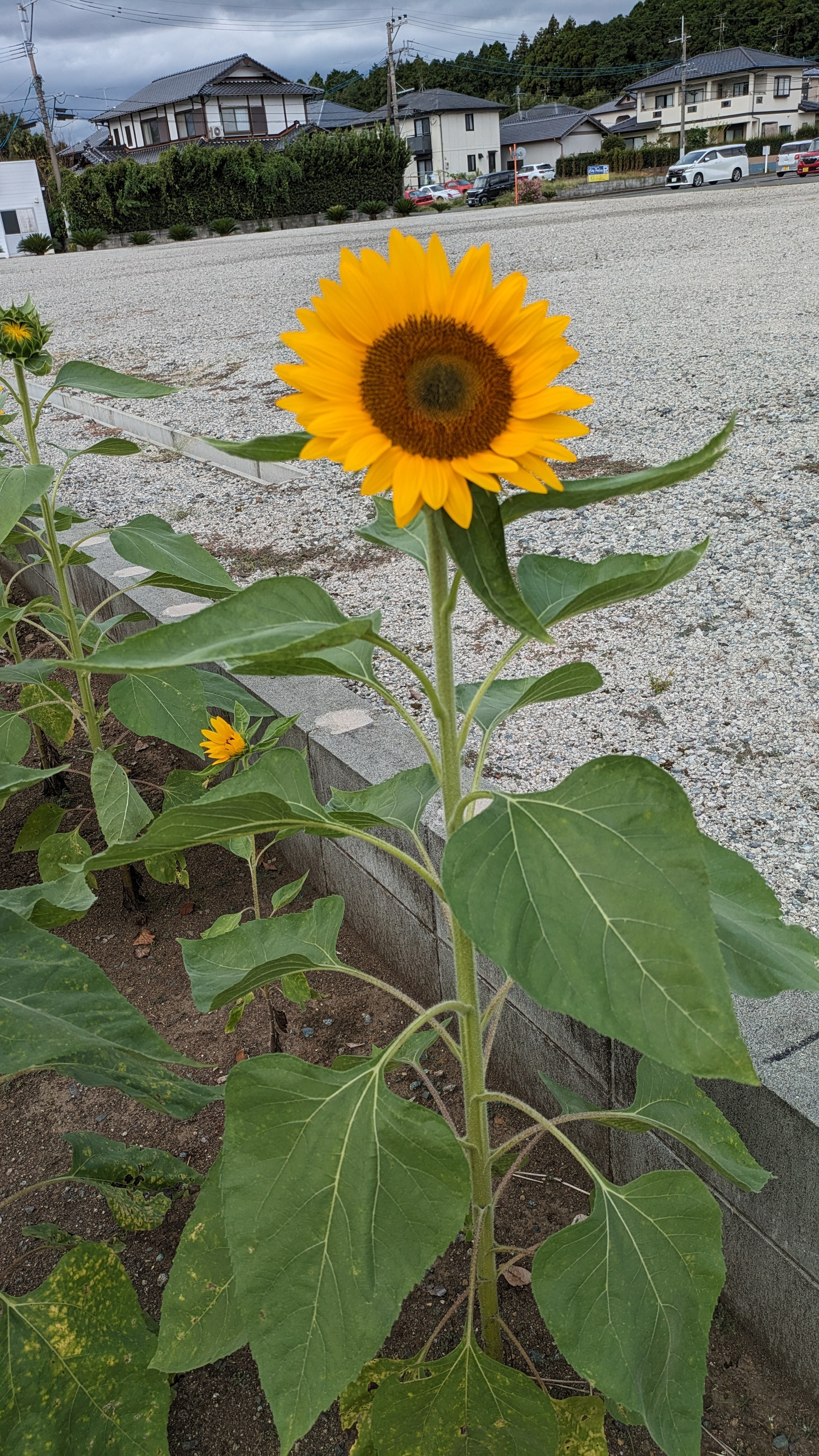 9/29〜10/4営業時間のお知らせ