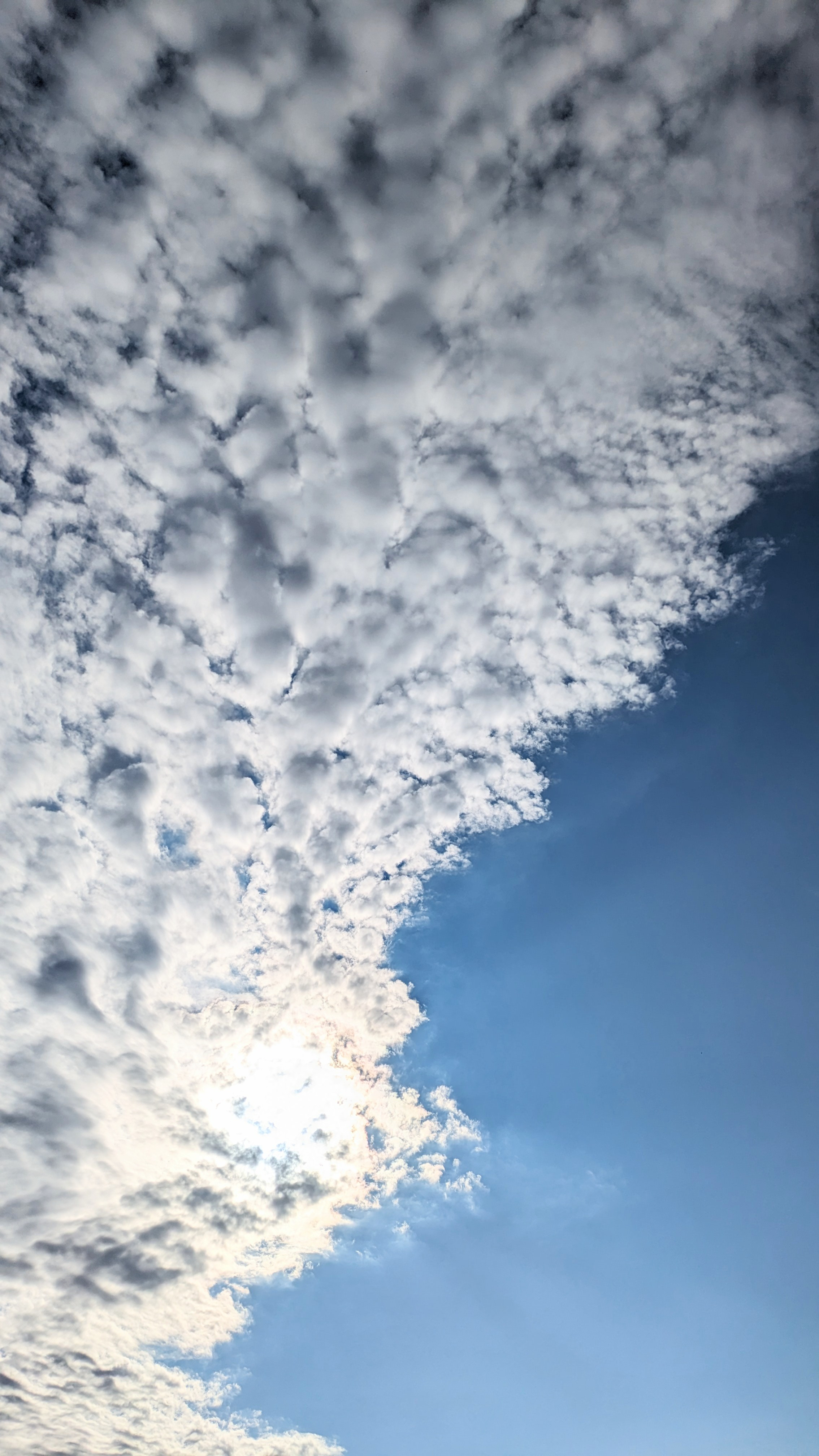 11/24〜29日営業時間予定のお知らせ