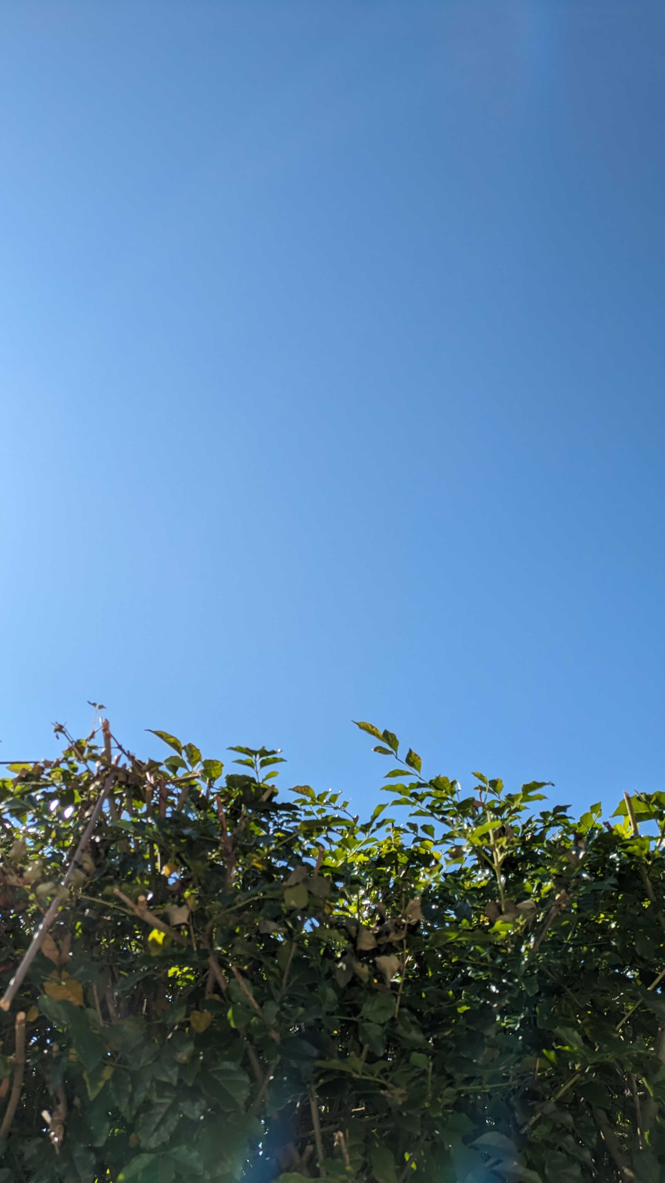 12/15〜20日営業時間予定のお知らせ