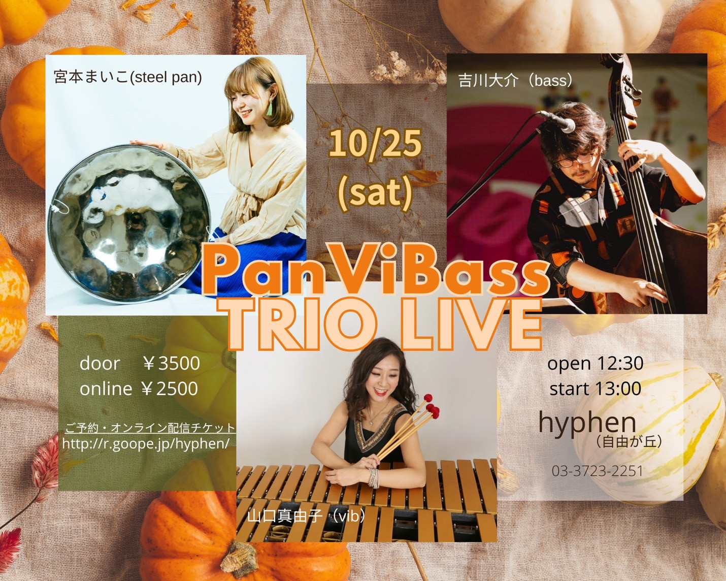 PanViBass Trio Live