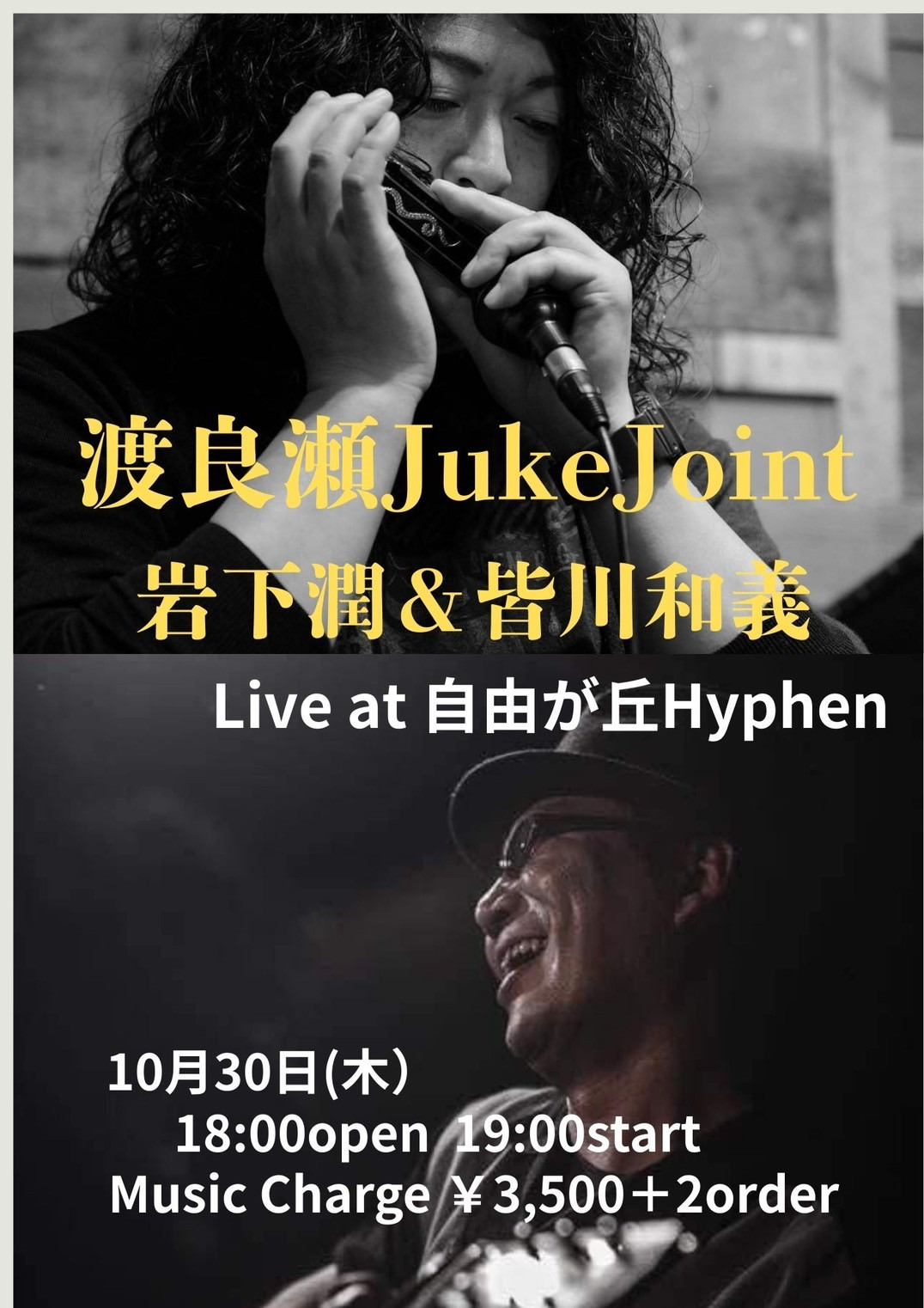 岩下潤&皆川和義 ブルースDUOライブ