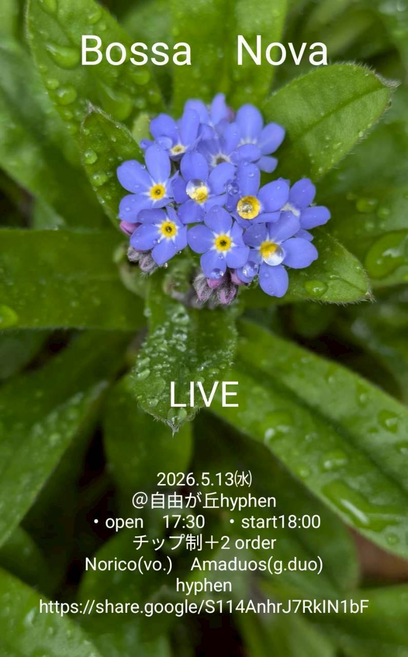 Bossa Nova LIVE