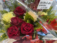 IMG_1553.jpeg