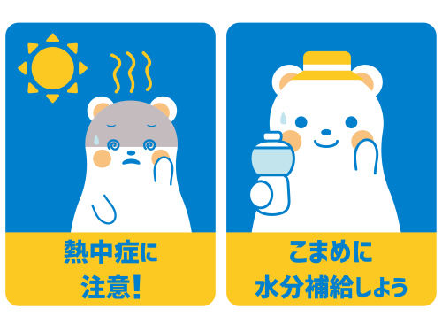22825844.png
