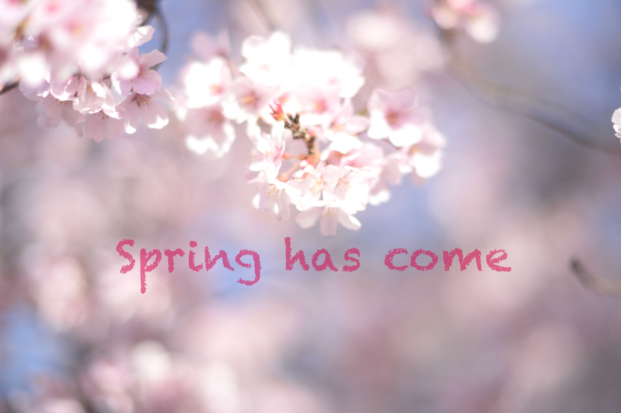 新たなる旅路に。