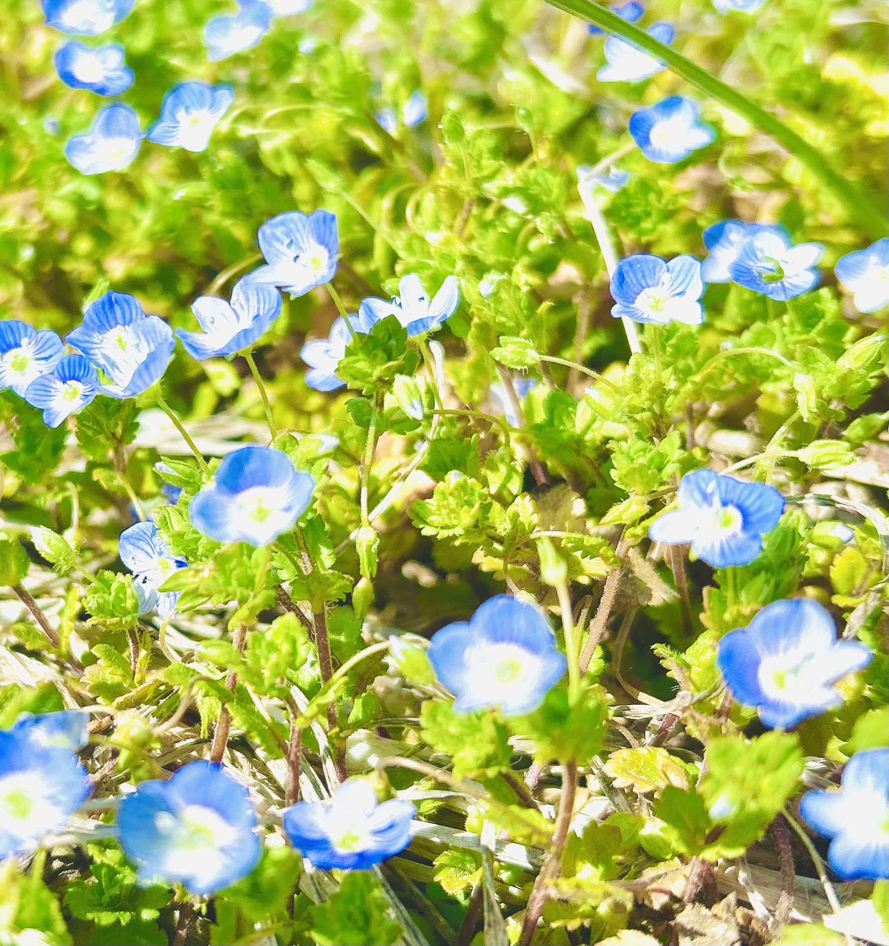 大切なお知らせ