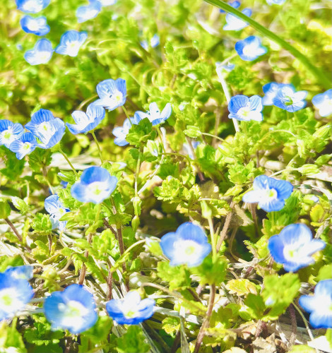 大切なお知らせ