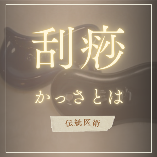 茶色 紅葉 秋 sale Instagramの投稿 正方形.png