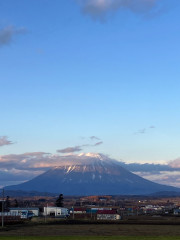 トコトコ　8周年感謝祭のご案内