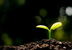 スクリーンショット 2026-01-06 175014.jpg