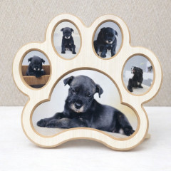 ChatGPT Image 2026年4月4日 18_07_20.jpeg