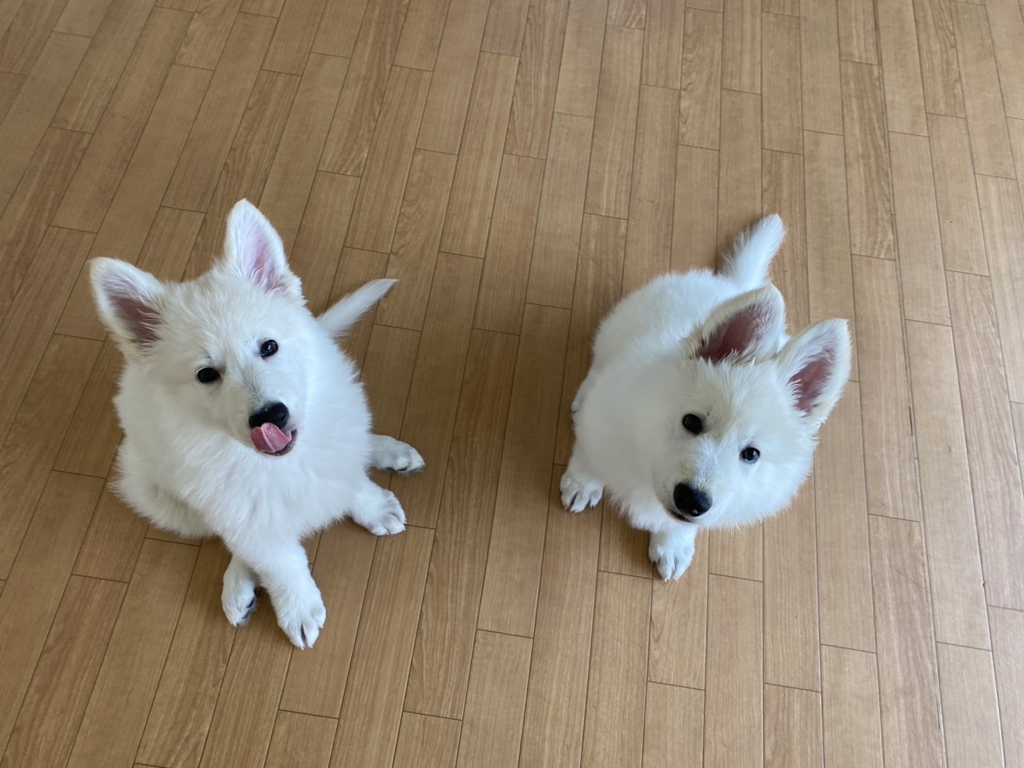オーナー様募集中です