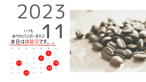 11月休診日のお知らせ本日は休診日.png