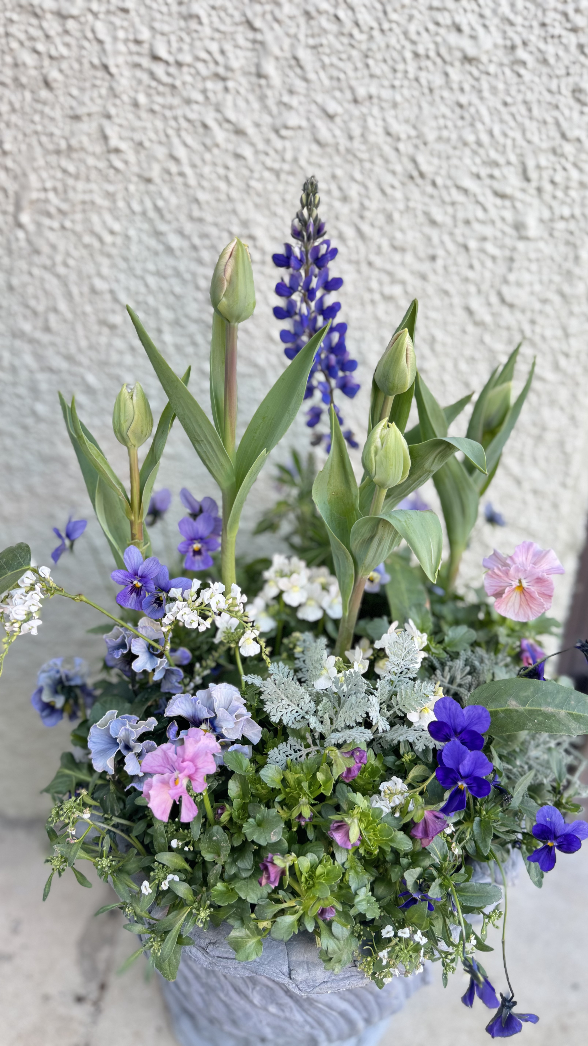 春のブリコラージュ（チューリップ・マリアージュ）