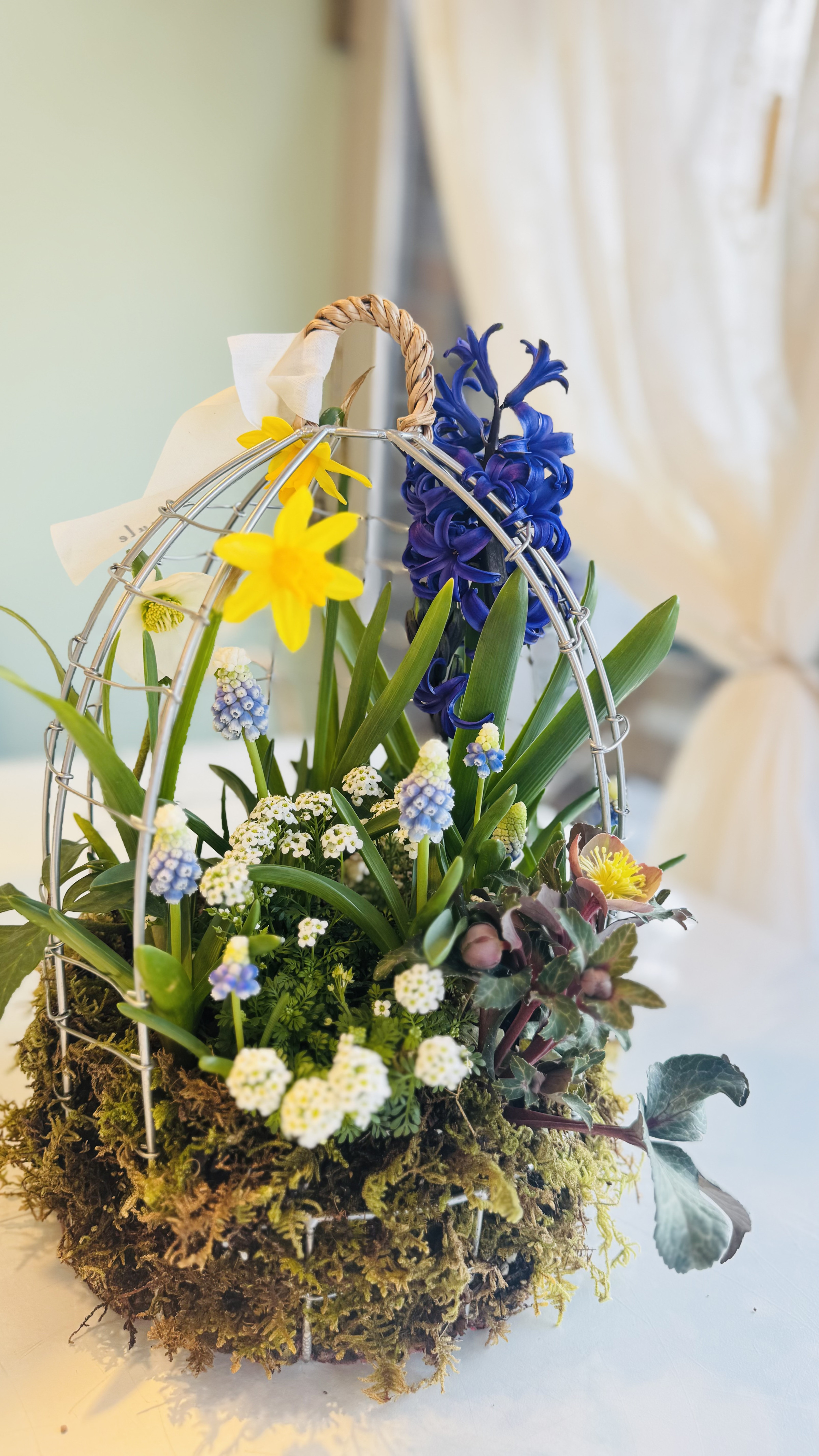 春の訪れを感じる球根の寄せ植え