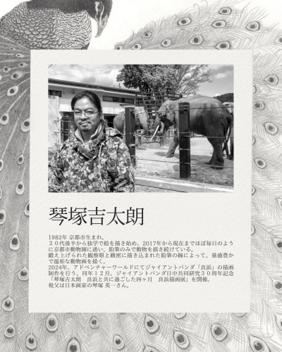琴塚吉太朗さん　プロフィール.png