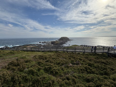 IMG_9096.JPG