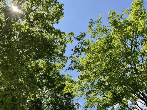 IMG_6029.jpeg