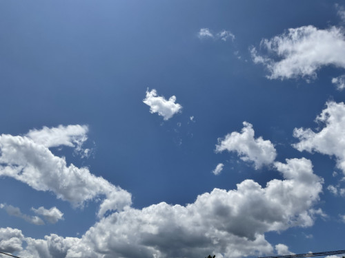 IMG_6028.jpeg