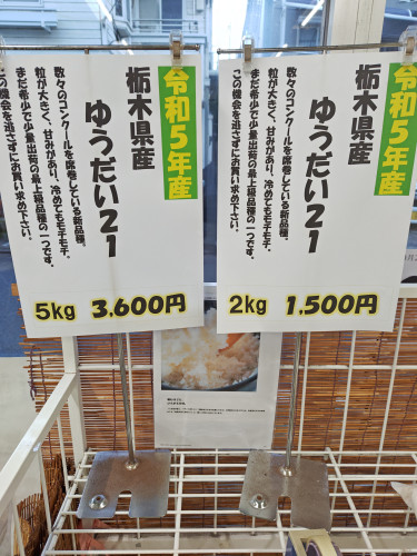 本日、令和5年産ゆうだい21入荷です