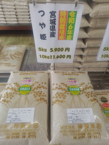 山形県産特別栽培米つや姫は売り切れです