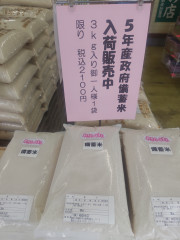 備蓄米令和5年産秋田県産あきたこまち