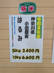 令和８年　神奈川県小田原産　はるみ