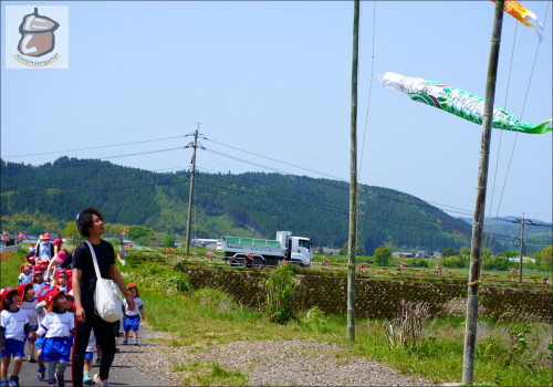 庄内川こいのぼり見学