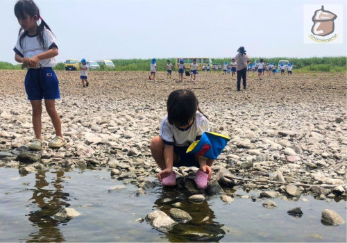 鯉の放流体験