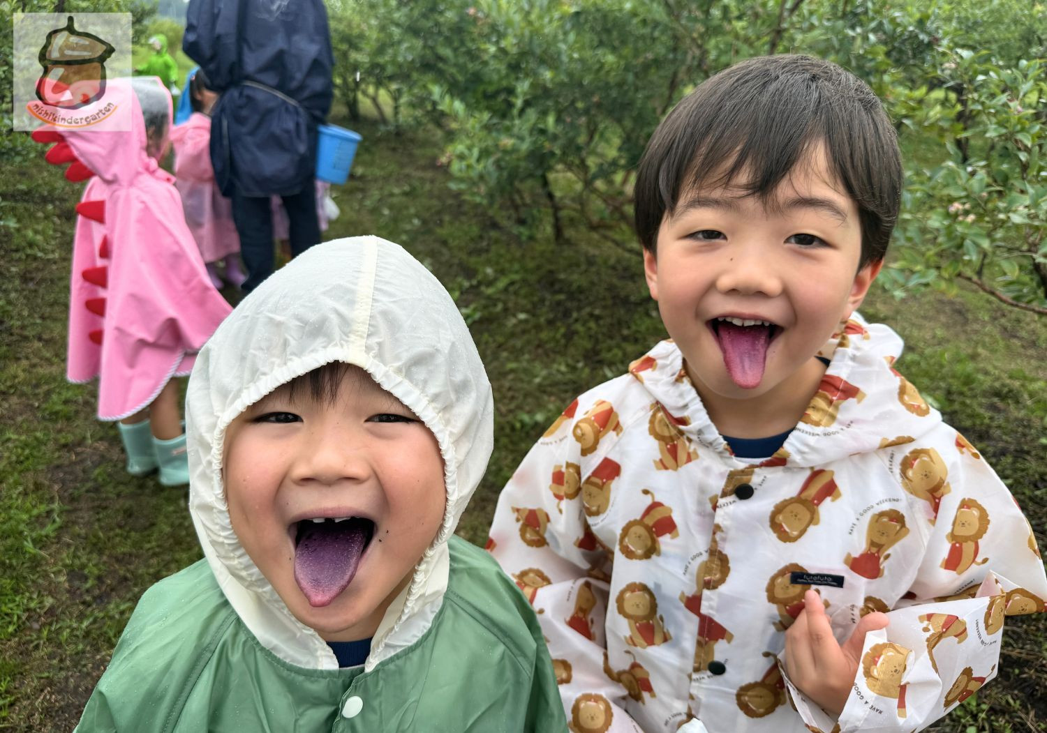 ブルーベリー狩り