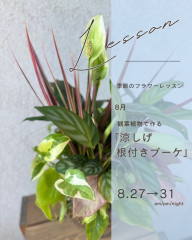 IMG_1479.jpeg